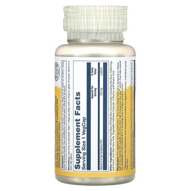 Solaray Vitamin B-6 100 mg 60 капс. Витамин B-6