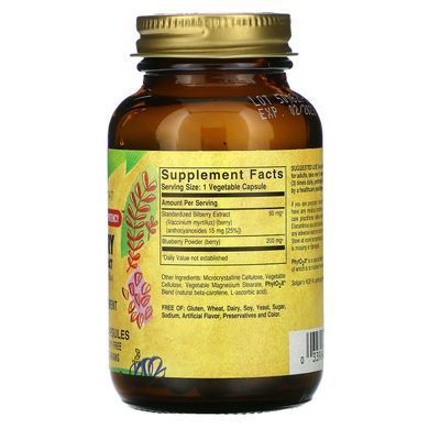 Solgar Bilberry Berry Extract 60 капс. Экстракт черники