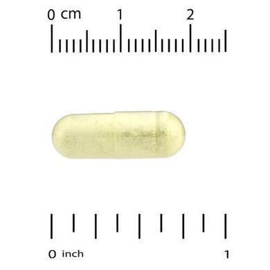 California Gold Nutrition Quercetin Phytosome 250 mg 60 растительных капсул Кверцетин