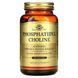 Solgar Phosphatidyl Choline 100 капс.