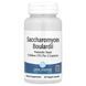 Lake Avenue Nutrition Saccharomyces Boulardii 10 Billion CFU 60 Caps