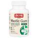Jarrow Formulas Mastic Gum 1000 mg 60 caps