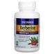 Enzymedica Berberine 60 Targeted-Delivery Capsules