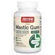 Jarrow Formulas Mastic Gum 1,000 mg 120 Caps