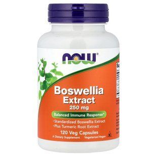 NOW Boswellia Extract 250 mg 120 капсул Босвелія