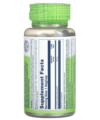 Solaray Saw Palmetto 580 mg 100 Vegcaps Со Пальметто