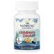 Nordic Naturals Children's DHA Xtra 636 mg 90 міні-капсул