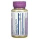 Solaray Berberine 500 mg 60 растительных капсул