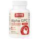 Jarrow Formulas Alpha GPC 300 mg 60 Veg Caps