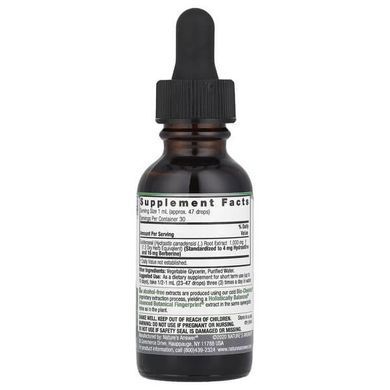 Nature's Answer Goldenseal Root 1,000 mg 30 мл Берберин