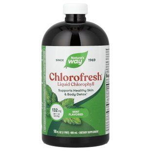 Nature's Way Liquid Chlorophyll 480 ml (Помнутая банка) Хлорофилл