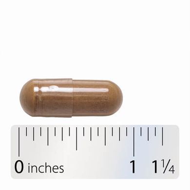 Nature's Way Burdock Root 100 Vegan Capsules Лопух