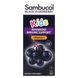 Sambucol Kids Black Elderberry 120 мл