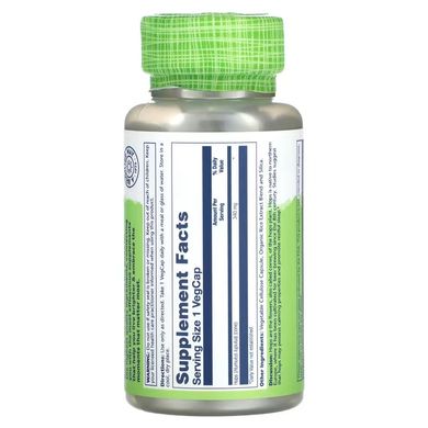 Solaray HOPS 340 mg 100 рослинних капсул Інші екстракти