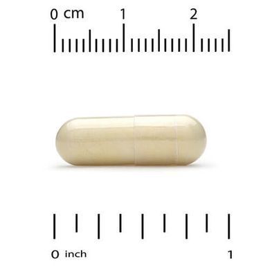 California Gold Nutrition Alpha Lipoic Acid 600 mg 120 рослинних капсул Альфа-ліпоєва кислота