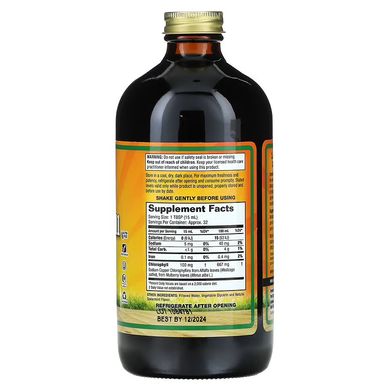 Dynamic Health Liquid Chlorophyll 100 mg 473 ml Хлорофіл