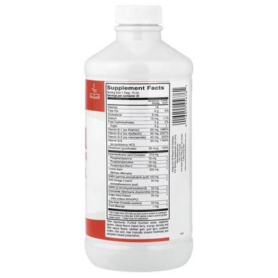 Buried Treasure Liquid Advantage Added Attention 496 мл Омега-3 для дітей