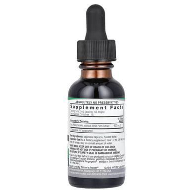 Nature's Answer Gotu Kola Extract 2,000 mg 30 ml Готу Кола