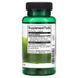 Swanson Ginkgo Biloba Extract 60 mg 120 caps