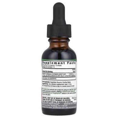 Глід Nature's Answer (Hawthorn) Berry 2,000 mg, 30 мл Інші екстракти