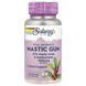 Solaray Mastic Gum 500 mg 45 рослинних капсул