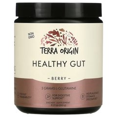 Terra Origin Healthy Gut 243 грамм Цинк