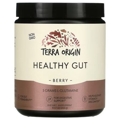 Terra Origin Healthy Gut 243 грамм Здоровье пищеварительной системы