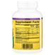 Natural Factors Chewable Vitamin C 250 mg 90 Chewable Tablets