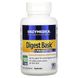 Enzymedica Digest Basic + Probiotics 90 капсул