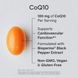Sports Research Co Q10 100 mg 120 Veggie Softgels