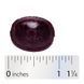 Nature's Way Sambucus Elderberry 24 Lozenges