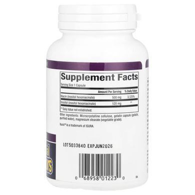 Natural Factors Niacin No Flush 500 mg 90 capsules Ниацин (B-3)