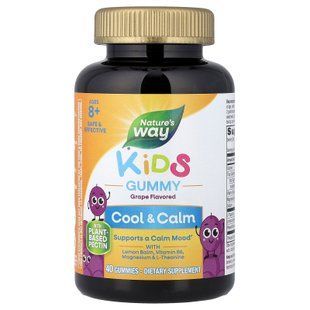 Nature's Way Kids Cool Calm & Collected 40 жевательных мармеладок Другие добавки для детей