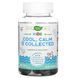 Nature's Way Kids Cool Calm & Collected 40 жувальних мармеладок