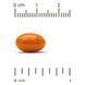 California Gold Nutrition CoQ10 100 mg 120 Veggie Softgels