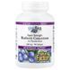 Natural Factors Blueberry Concentrate 500 mg 90 рідких капсул