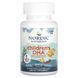 Nordic Naturals Children's DHA Strawberry 90 жевательных мини-капсул