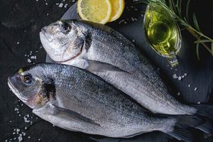 Основні переваги рибного колагену