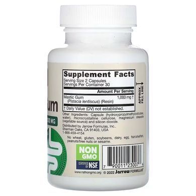 Jarrow Formulas Mastic Gum 1000 mg 60 капсул (Пом'ята банка) Мастикова смола