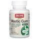 Jarrow Formulas Mastic Gum 1000 mg 60 капсул (Пом'ята банка)
