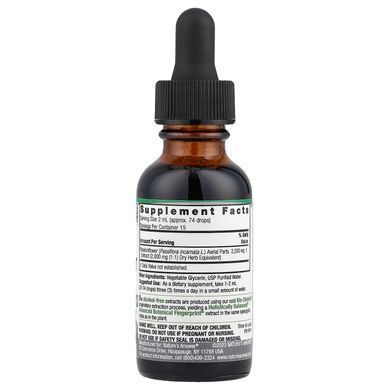 Nature's Answer Passionflower Aerial Parts 2,000 mg 30 ml Пасифлора