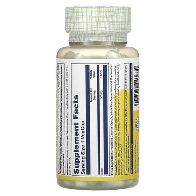 Solaray Niacin 500 mg 100 капс. Ниацин (B-3)