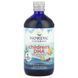 Nordic Naturals Children's DHA (530 mg) 473 мл