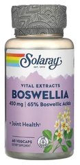 Solaray Boswellia Extract 450 mg 60 растительных капсул Босвелия