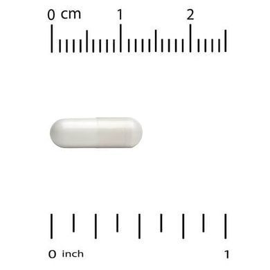 California Gold Nutrition Nicotinamide Riboside Tartrate (NR) 250 mg 60 растительных капсул Ниацин (B-3)