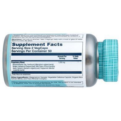 Solaray Histamine Blend SP-33 100 рослинних капсул Інші екстракти