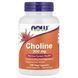 NOW Choline 300 mg 100 рослинних капсул
