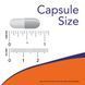NOW Milk Thistle Extract with Turmeric 60 Veg Capsules