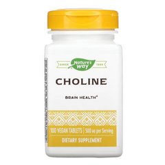 Nature's Way Choline 500 mg 100 капсул Холін (В-4)