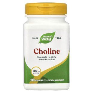Nature's Way Choline 500 mg 100 таблеток Холін (В-4)